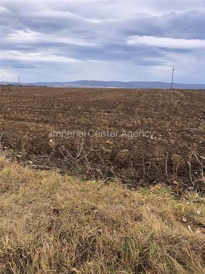 Teren pentru business 6300 MP Bucium la strada principala - 2