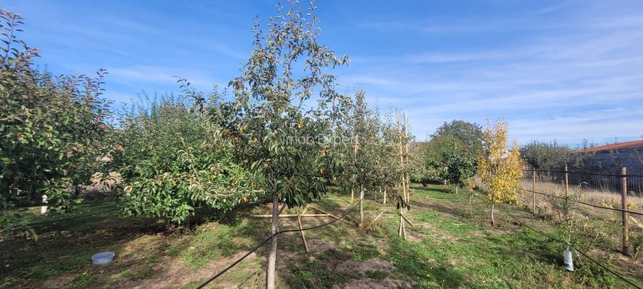 Vand casa cu teren de 1753 mp in Prejmer - 7