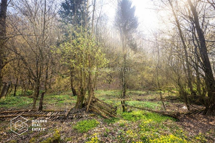 Casă cu teren generos 1.944 mp, Măgulicea, Vârfurile - 17