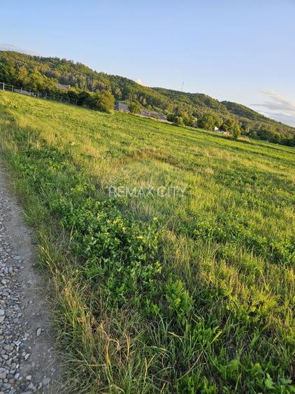 Teren 1,495mp Dobreni / Strada Parau Almas - 29