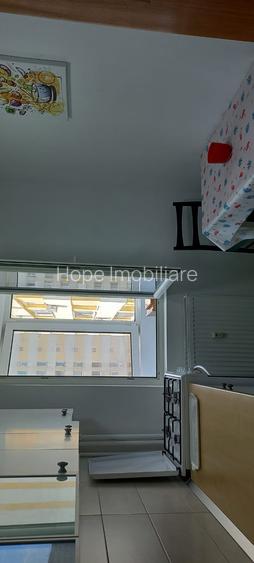 Teiul Doamnei-soseaua Colentina-2 camere de renovat - 9