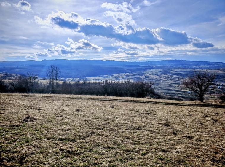 TEREN INTRAVILAN ,17.350 mp , in zona BORHANCI - SOPOR - 4