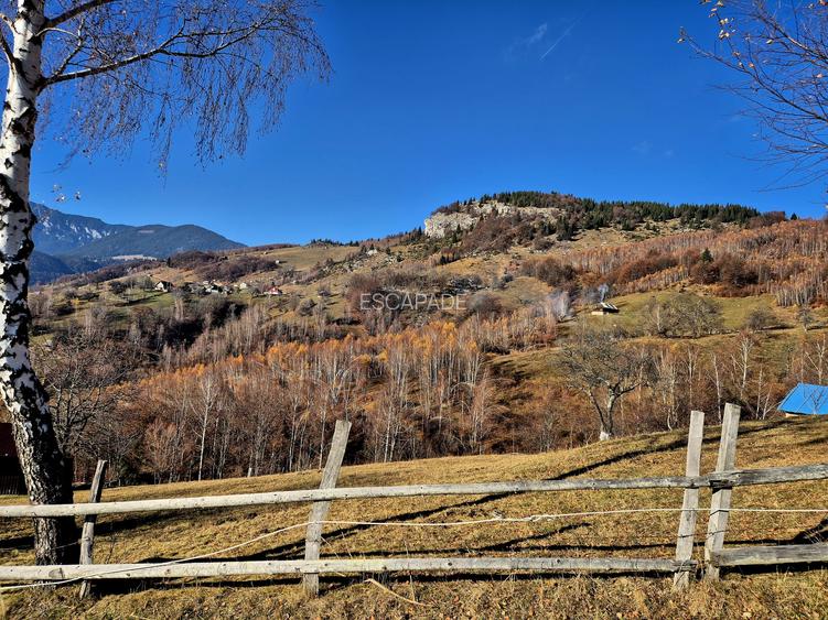 Teren de vânzare în sat Măgura/ Brasov– loc pentru familie, liniște și suflet - 15