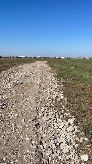 Vanzare Teren  Magurele Varteju 520mp - 3