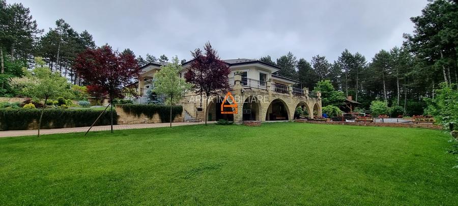 Casa / Vila - 740 mp - 11.000 mp teren - Proprietate Unica in Iasi - Bucium - 2