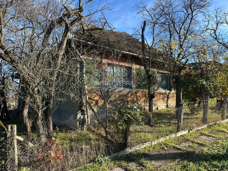 GOSPODARIE - liniste - natura - DE VANZARE - 8