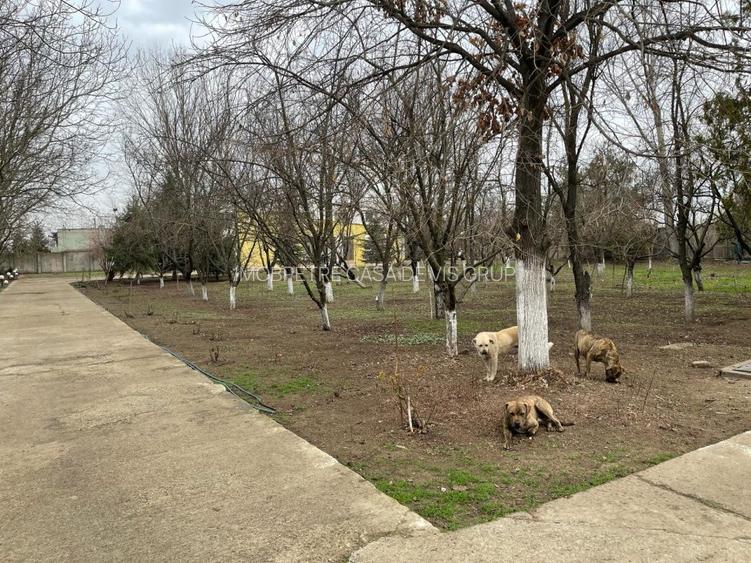 Casa de vanzare la 5 min de Centru cu trei nivele (D+P+1) si teren de 4300mp - 6