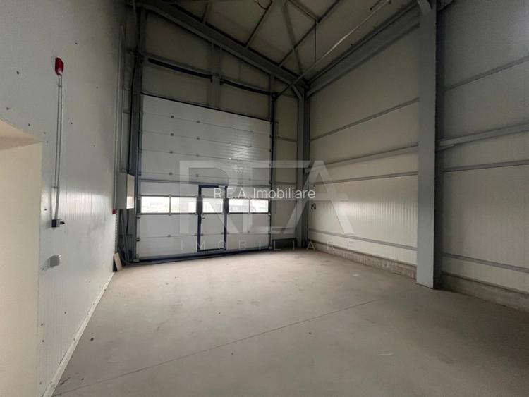 Hala de inchiriat in Domnesti / Centura - 4