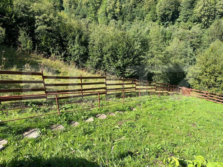 Cabana 5 camere, teren de 1000 mp, Valea Ierii - 14