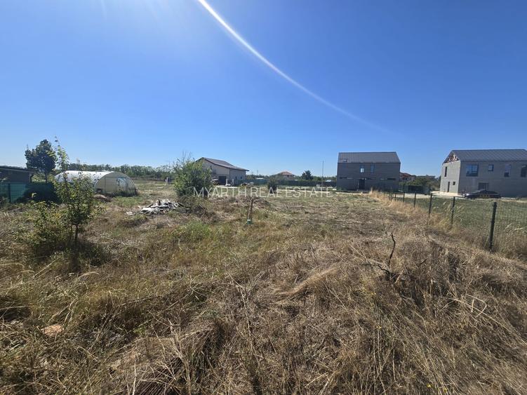 Gulia, Tartasesti, Eden Forest Residence,Samurcasi - 4