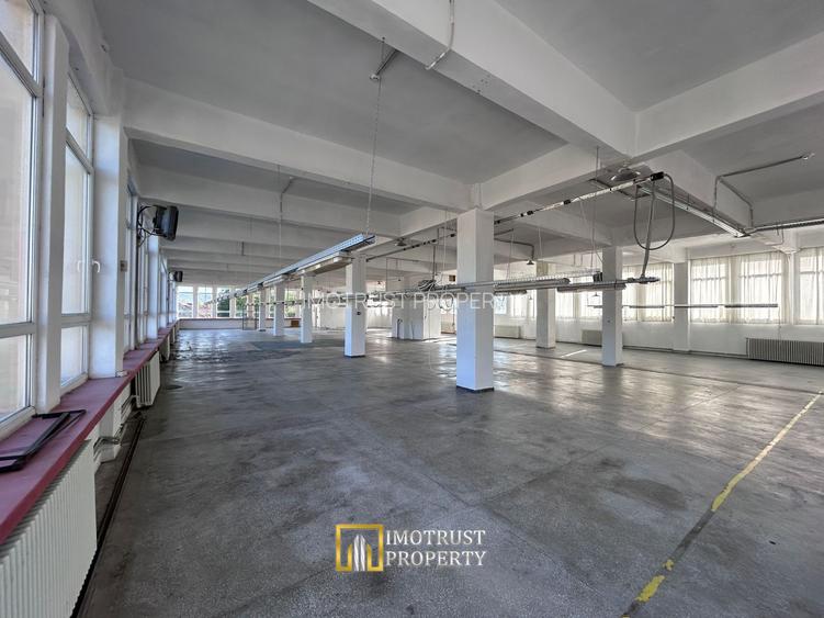 Hală Industrială de inchiriat – Lipova, Județul Arad - 18