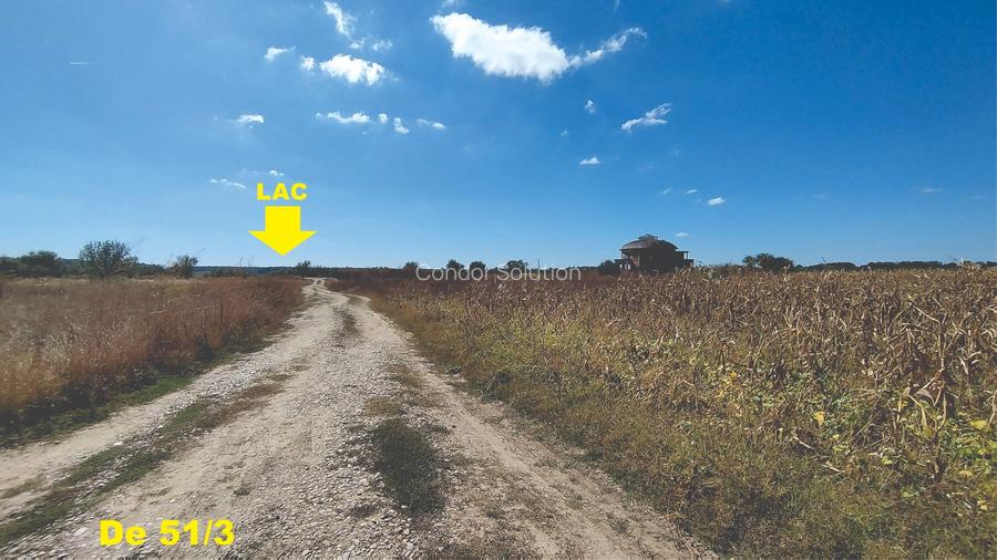 Vanzare teren 4400 mp Snagov - Gruiu, cu deschidere la lacul Snagov - 2