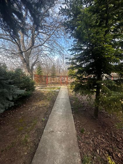 Casa zona Copou 800 mp, 5 camere, 2 bai, PET FRIENDLY, LOC PARCARE - 4