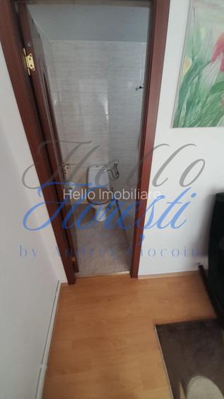 Casa individuala 4 camere 124 mp,4000 mp teren zona Cuzaplac - 7