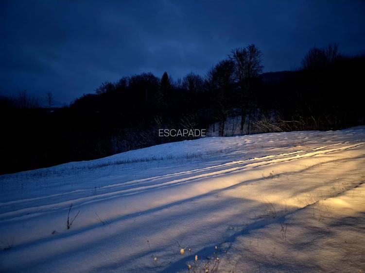 Teren extravilan 5000 mp Sinca Noua - 5