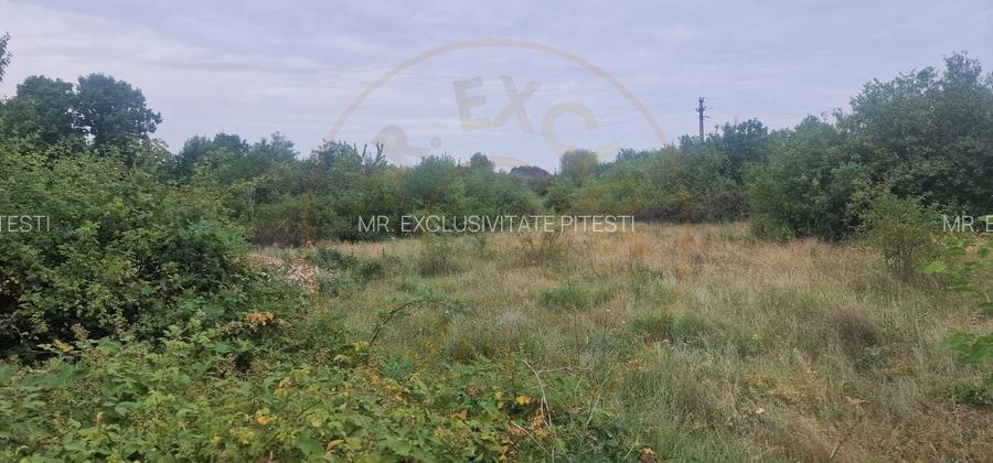 TEREN POIANA LACULUI - 3