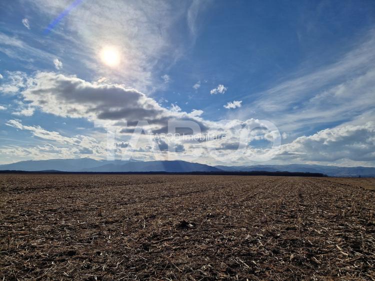 Terenarabil arabil de vanzare 5950mp extravilan zona Sopa  Selimbar - 3