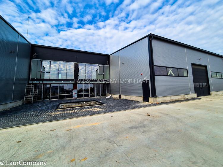 Hale,spatii industriale Albota,Pitesti Arges - 2