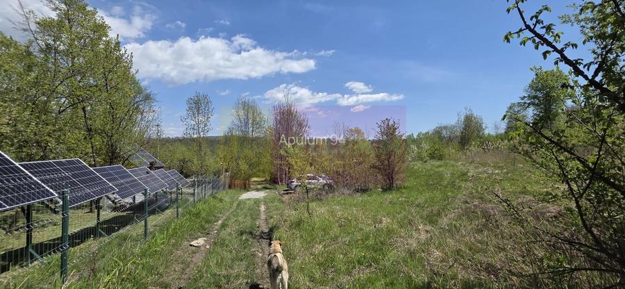 Teren cu Casuta de lemn in Sotrile (langă Valea Doftanei) - 19