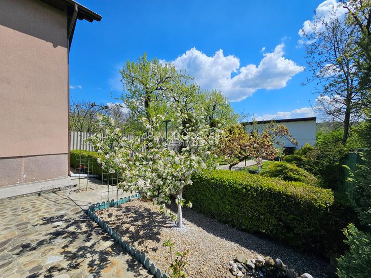 Locatie premium cu 2 constructii || Acces direct din DN71 – Dealu Mare, Dambovit - 22