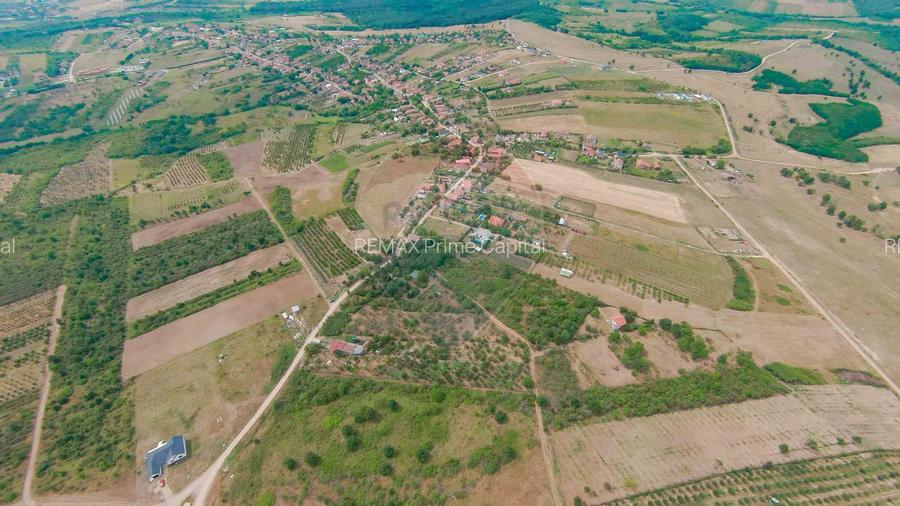 De vânzare Teren 3995mp intravilan Săldabagiu de Munte - 8