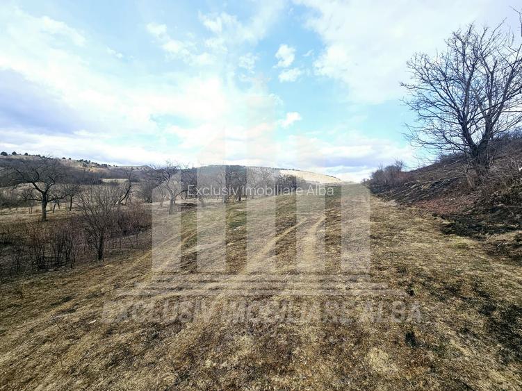 Teren intravilan | De vanzare | 12211 mp | Geogiu de Sus - 3