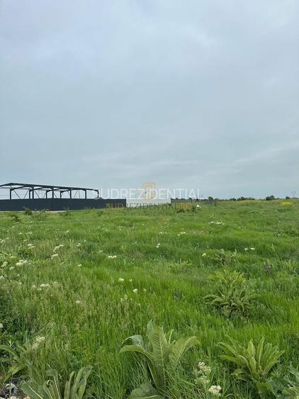 Lot de teren in Frumusani, Ilfov, 586 mp, posibilitate rate - 10