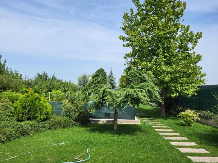 Dimineți pe ponton, seri la piscină – viața la Snagov
