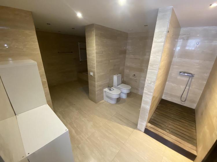 Penthouse, 5 camere, piscina proprie, zona Kiseleff - Arcul de Triumf.