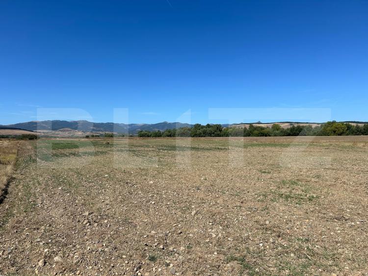 Teren agricol de vanzare, 5.000 mp, zona Barabant