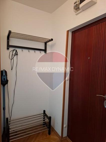 Garsonieră de închiriat în zona Banu Mărăcine - 10