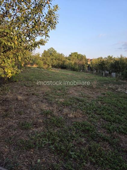 Casă și teren 2177 mp Ortisoara -28ml front-comision 0 - 15