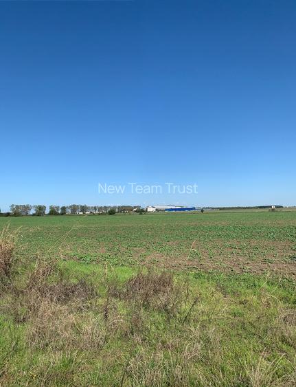 Afumati  Vanzare Suprafata 12,8 Hectare -Petrechioaia 35 000mp- Cernica 25400mp - 2