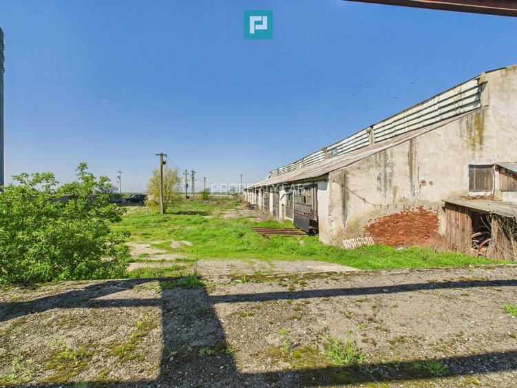 Spațiu industrial, rampă și acces la calea ferată - 15