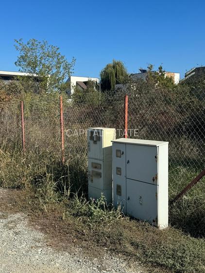 Teren Interesant Mogosoaia - 5