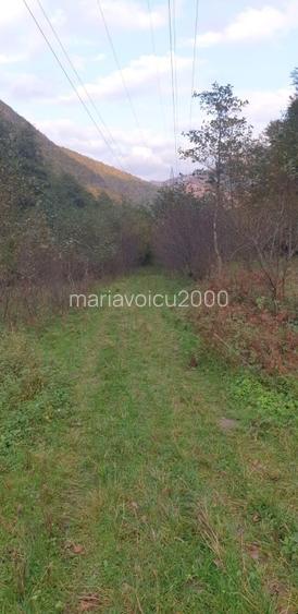 Poiana Prințului Rudolph : Teren de 2834  mp Munții  Retezat - 5