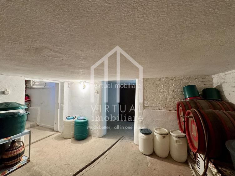 Casa individuala cu teren de 820mp, 3 camere, pivnita, pod, Turnisor - 30