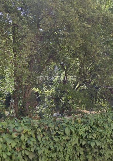 Teren intravilan 317mp Unic Herastrau sector 1 - 3