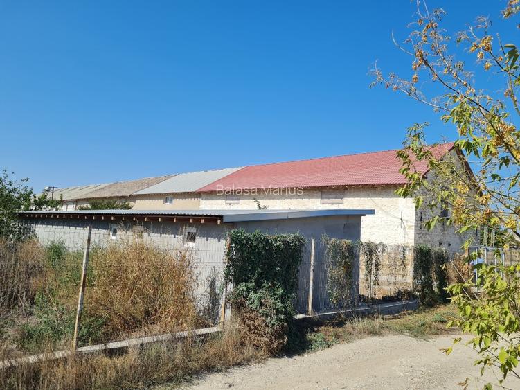 Hala 400mp cu birouri 100mp și desen 1200mp - 11