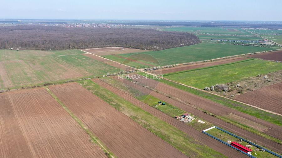 Vanzare teren intravilan 500 mp Sabareni /  Strada Orhideelor - 15