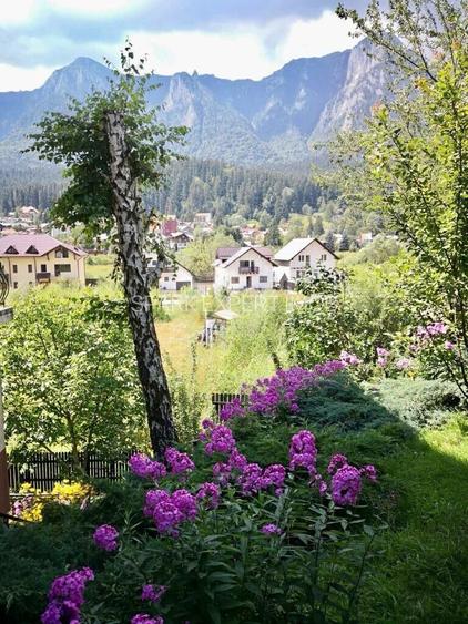 VILA CARTIER ZAMORA//BUSTENI - 5