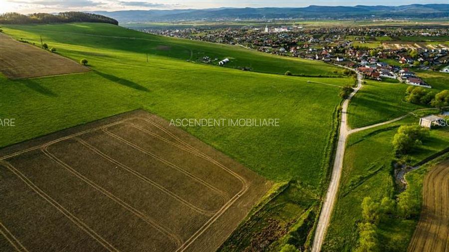 FILM! Portofoliu funciar de exceptie: 23.669 mp teren extravilan Sangiorgiu, Mur - 2