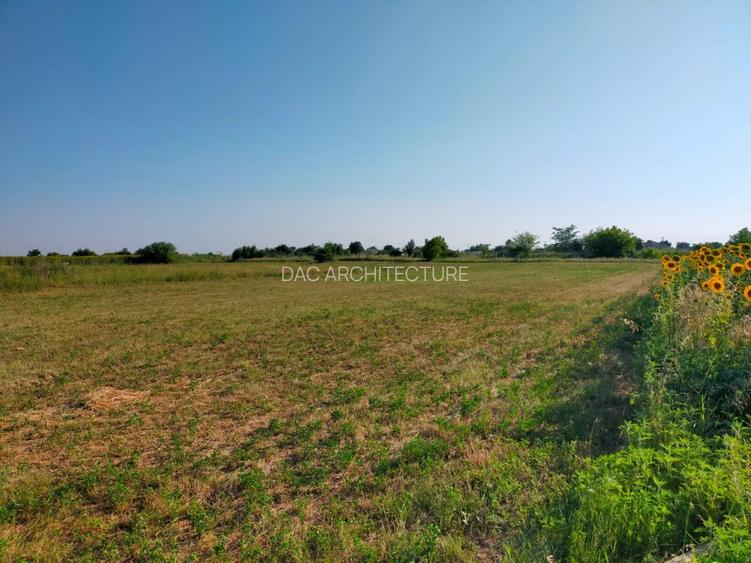 Teren intravilan 2,502mp Moara Vlasiei - 3
