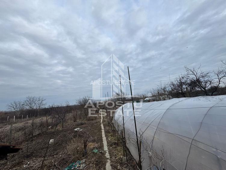 Casa - zona Aradul Nou - 12