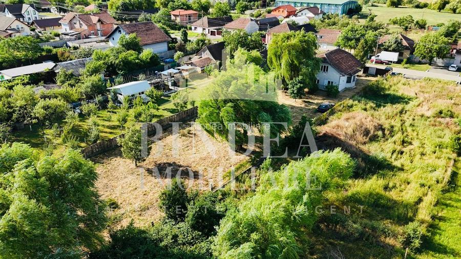 Casa individuala P+ M Giarmata, vatra satului 1496mp teren - 3