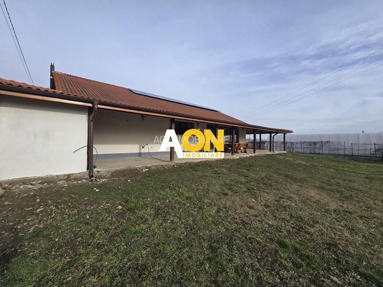 Casa Individuala 4 Camere, 1750mp Teren, Zona Sard - 10