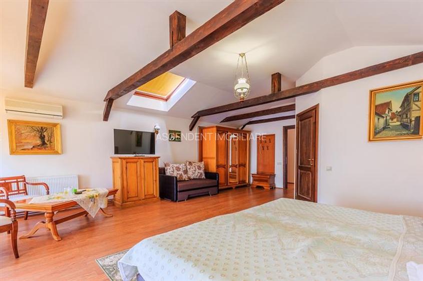 Hotel Bielmann,unicitate si profitabilitate optima in turism,Sanpetru, Brasov - 13