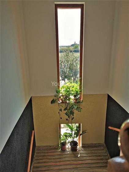 Vila Deosebita Rudicica - 13