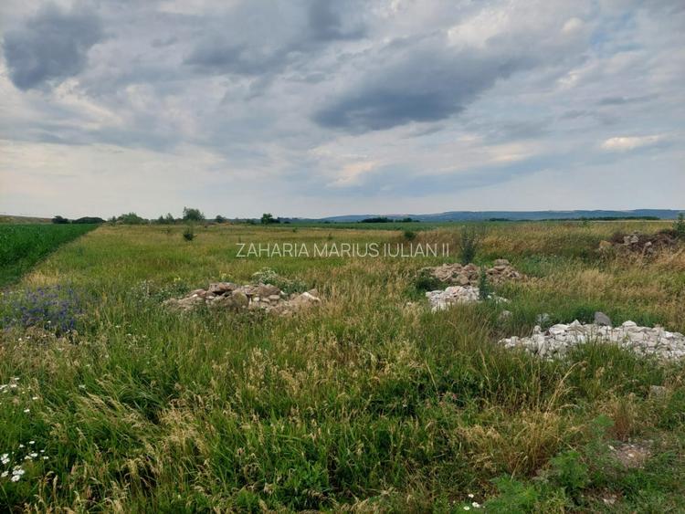 Oportunitate de Investitie!!! - 4