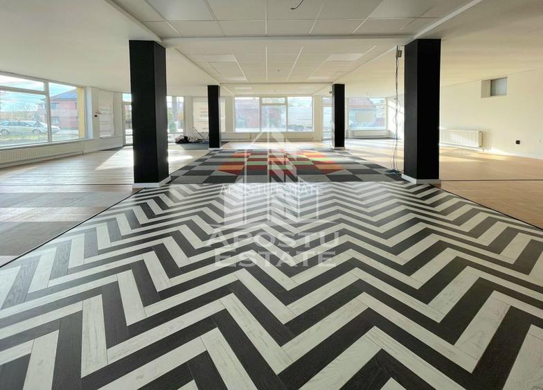 Spatiu Comercia/ Showroom 200mp util+curte720mp/GRADISTE - 6